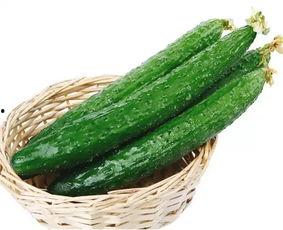 蛇头瓜如何吃,探索美味与营养的完美结合