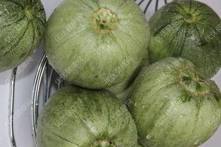 孕妇吃大白瓜好吗