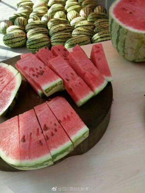 成都吃瓜事件,一场网络热议背后的真相与反思