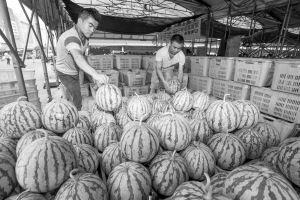 成都吃瓜事件,一场网络热议背后的真相与反思