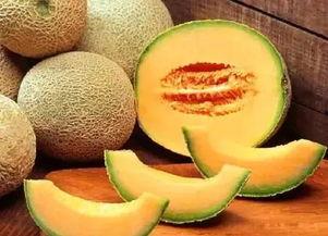 上海哈密瓜可以吃吗,美味可口的夏日佳品，放心享用