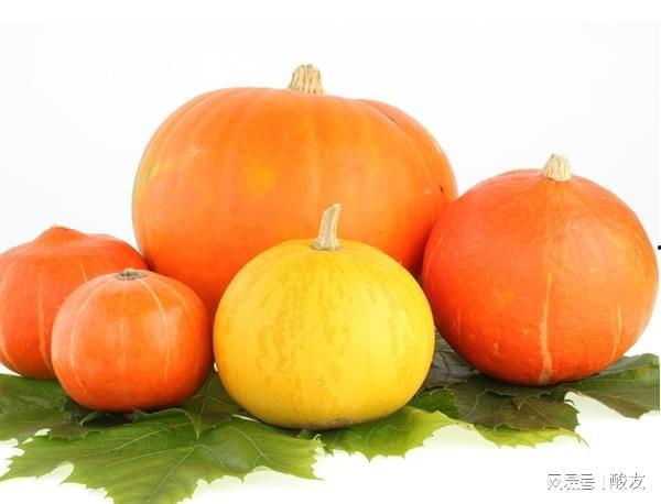 尿酸可以吃梨瓜,梨瓜助力健康生活