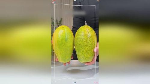 牛奶瓜可以吃吗,揭秘这种美味可食用水果的奥秘