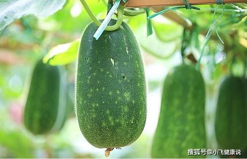 吃瓜多了拉血,揭秘饮食与健康之谜