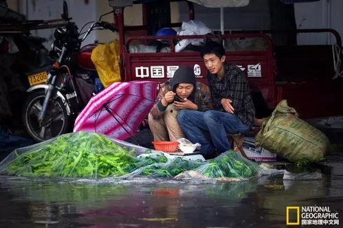 青州古街吃瓜视频,美食之旅尽享人间烟火气
