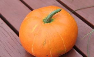 秋天的瓜怎么吃最好,解锁秋季瓜类美食新吃法