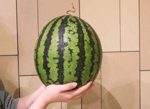 吃瓜的花才人,一场关于人生百态的味蕾之旅