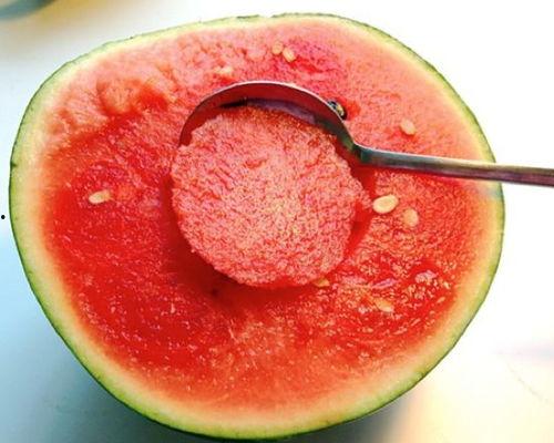 喜子瓜给谁吃的,揭秘瓜中佳肴的神秘食客