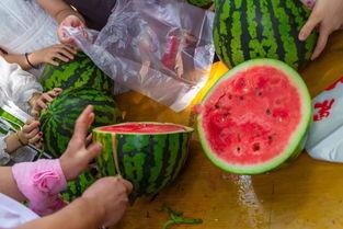 古代吃瓜视频大全,古代吃瓜视频大全赏析