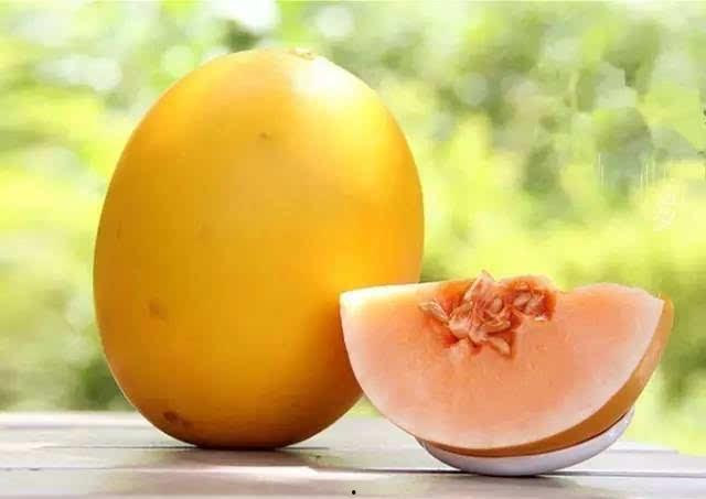 妞妞吃瓜很甜,甜蜜滋味，揭秘瓜果的秘密