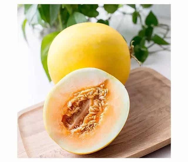 妞妞吃瓜很甜,甜蜜滋味，揭秘瓜果的秘密