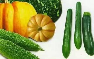 跟着白陶陶吃瓜,品味生活百态