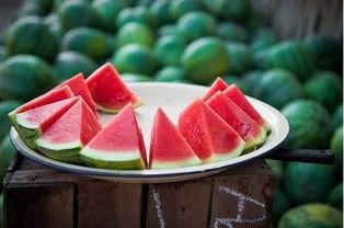 跟着白陶陶吃瓜,品味生活百态