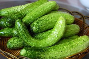 吃瓜文现言,误食禁果的甜蜜邂逅