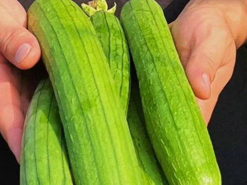 讲真吃瓜,讲真吃瓜，真相大白