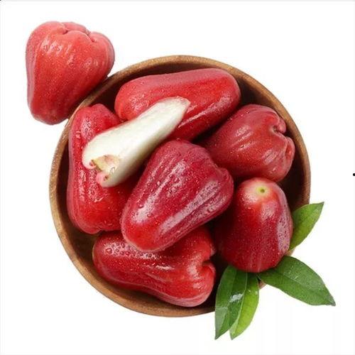 抖音莲雾吃瓜,揭秘网红水果背后的故事