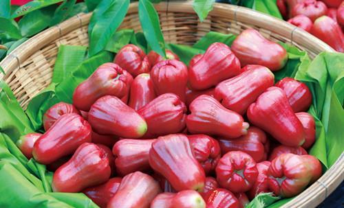 抖音莲雾吃瓜,揭秘网红水果背后的故事