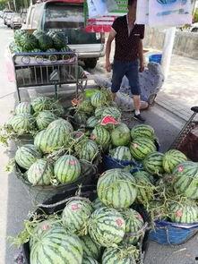 韩城吃瓜马琳事件