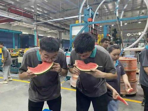 吃瓜配送员,揭秘吃瓜配送员的日常传奇