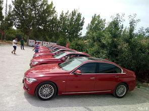 吃瓜招远宝马,一场引人入胜的悬疑事件