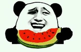 带你吃瓜抓悟空,悟空带你领略异世界美食之旅