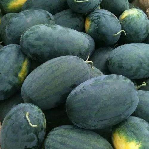 325吃瓜日,揭秘娱乐圈的甜蜜与苦涩