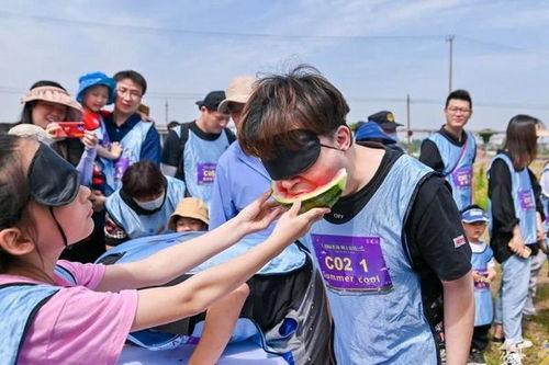 插秧吃瓜,瓜果香满园