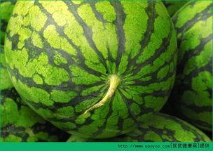 吃瓜能发烧吗,吃瓜也能发烧？揭秘夏季消暑美食背后的健康隐患