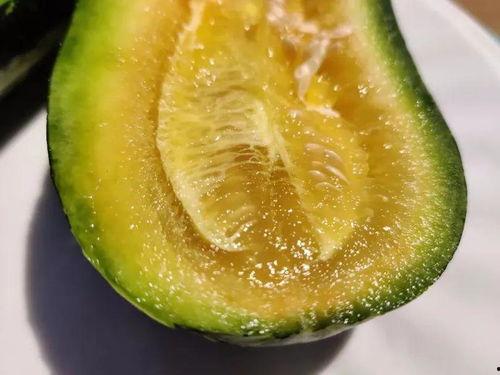 云香吃瓜,揭秘瓜界新宠儿的魅力与传奇