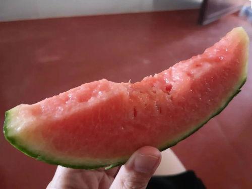 云香吃瓜,揭秘瓜界新宠儿的魅力与传奇