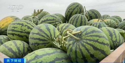 跃华吃瓜,揭秘娱乐圈背后的那些事儿