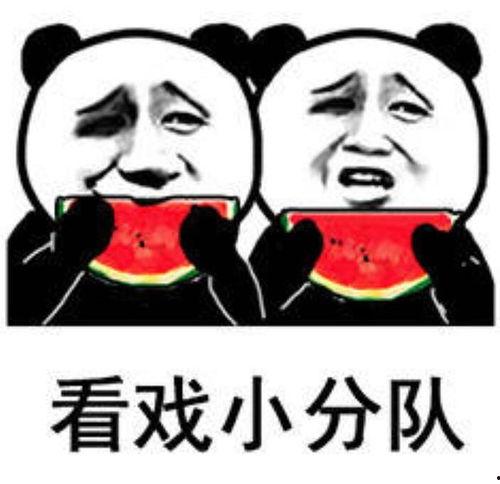 各种吃瓜表情包,笑料百出，揭秘网络社交新潮流
